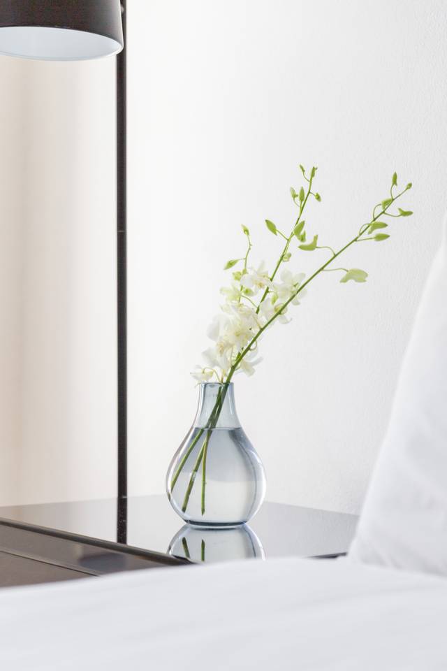 Cosmopolitan South Yarra Townhouse With Roof Top - Picture 13