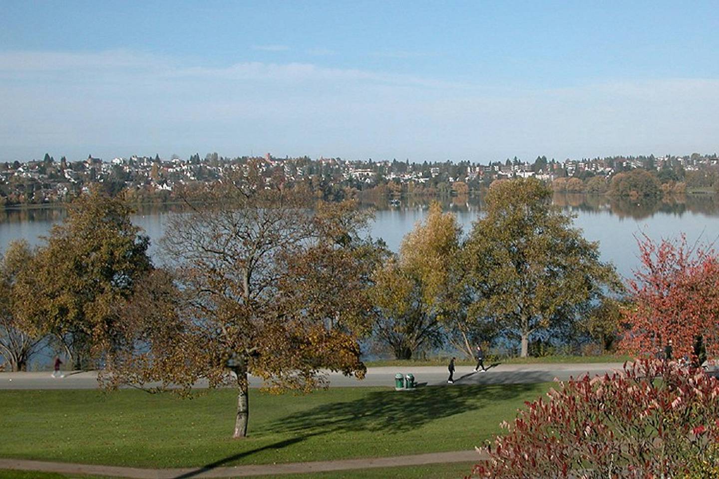View 10